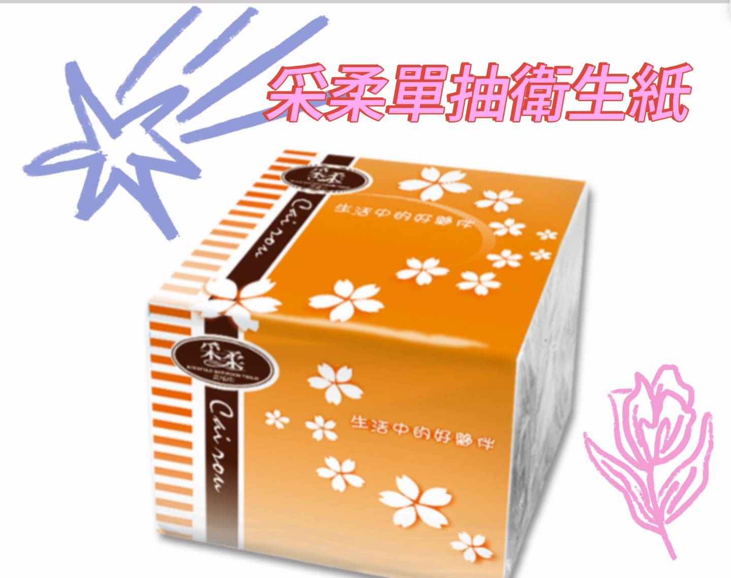 衛生紙&紙巾系列